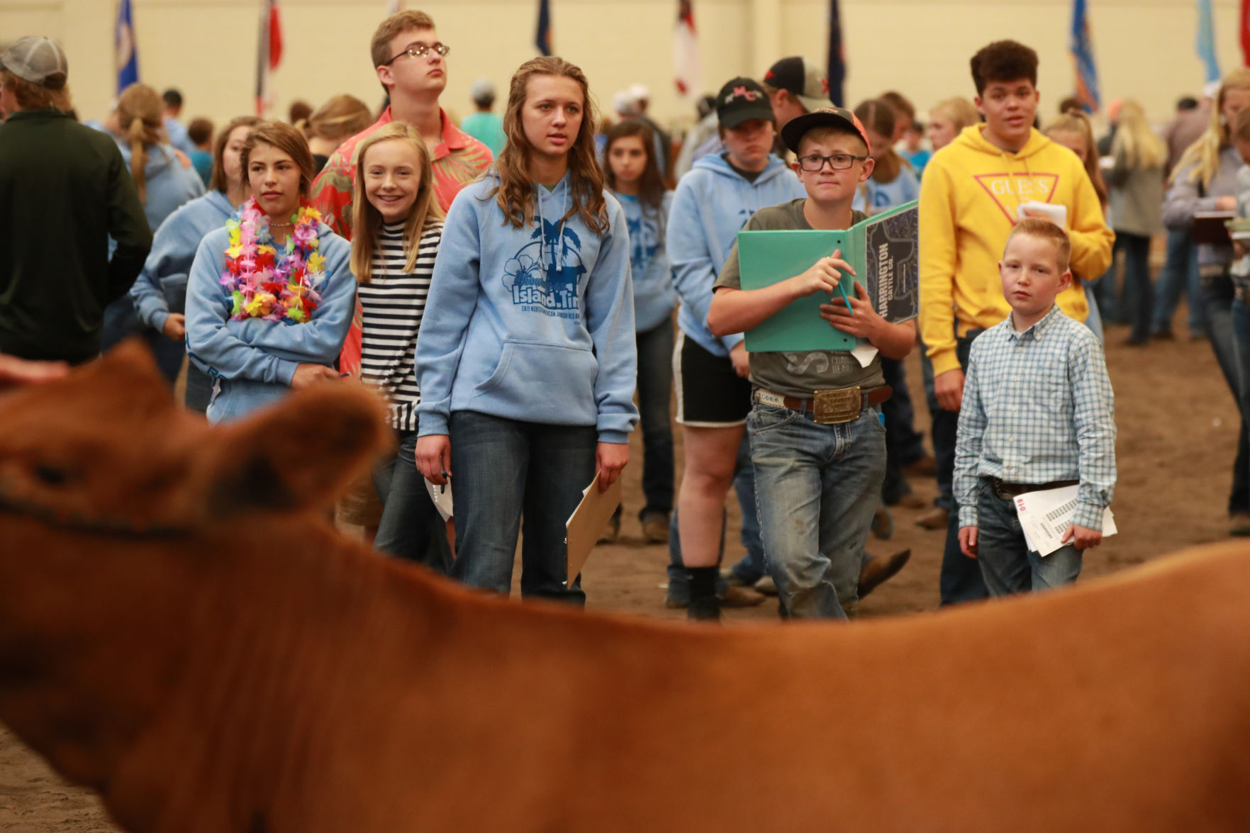 061819_RedAngusJudging19_bjs.JPG